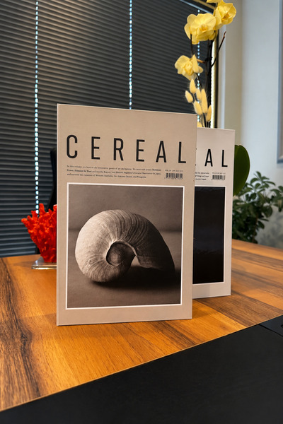 ROSA RAİN Cereal 2-Piece Decorative Book Box Set – Beige, Seashell and Vase Patterned Home and Office Decor