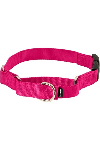 PetSafe طوق مارتنجال مع مشبك سريع الفتح، مقاس 3/4 بوصة، لون بنفسجي غامق