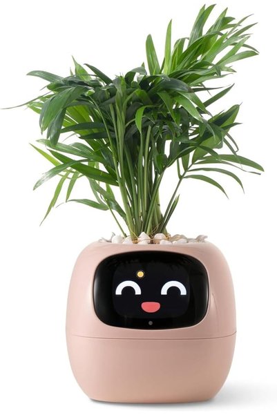 PLANTSIO روبوت ذكي للنباتات مع إيموجيز للعناية بالنباتات، رفيق نباتي ساحر مع ...