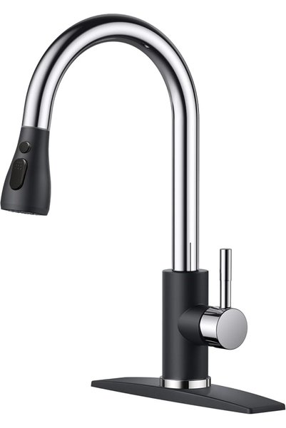 FORIOUS Kitchen Faucets with Pull Down Sprayer, High Arc Single Handle Classi...