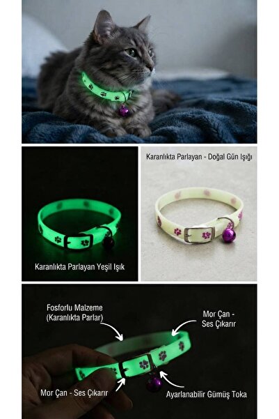Kedi Tasma Gece Parlayan