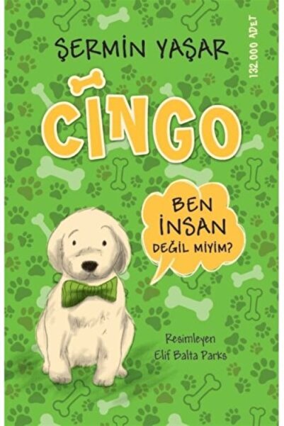 ARNEER Cingo