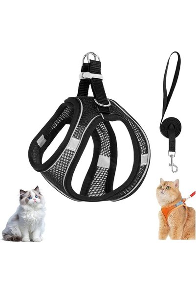 GENERAL Reflective Breathable Dog Harness and Leash Set, No Pull Adjustable P...
