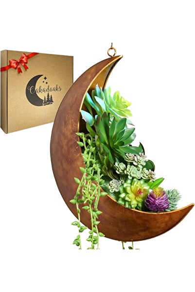 Yelajoy Hanging Crescent Moon Planter – 12" Galvanized Metal Planter for Succ...