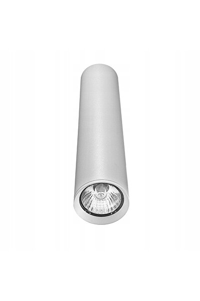 Syntron SET PROIECTOARE DE CĂI 2M+ CU 4 LAMPĂRĂRI GU10 SOPEL DREPTE CULORATE