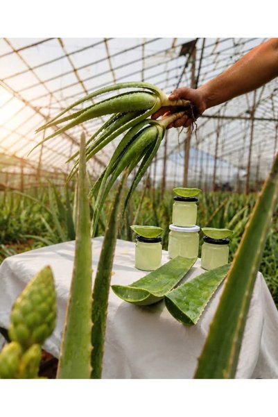 Alovia 300 ml Natural Pure Aloevera Gel Fresh Aloe Vera Gel Additive-Free Aloe Vera Gel