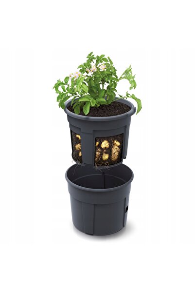 Prosperplast Cultivator de cartofi IZIE400