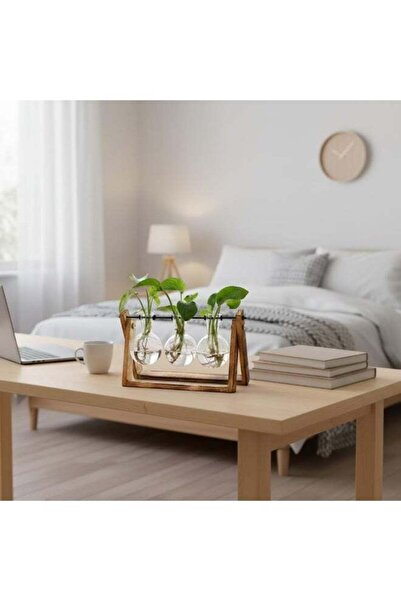 Generic Plant Terrarium with Wooden Stand, Air Planter Bulb Glass Vase Metal ...