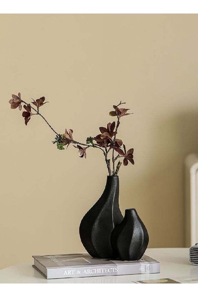 Generic Ceramic Vase Set, Set of 2 Decorative Flower Vases for Modern Home De...