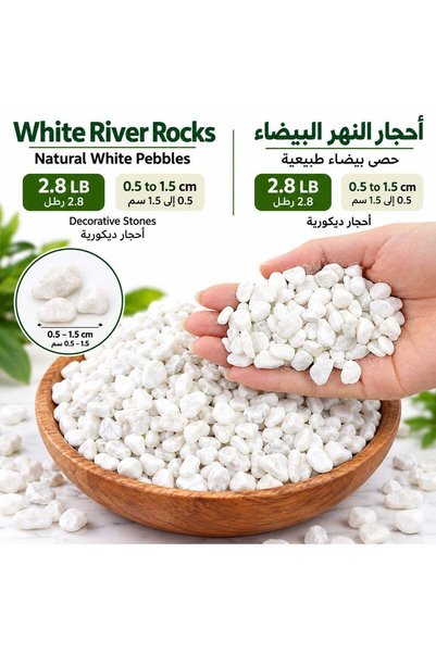 Generic White River Rocks 2.8 LB Natural White Pebbles 0.5 to 1.5 cm Decorati...