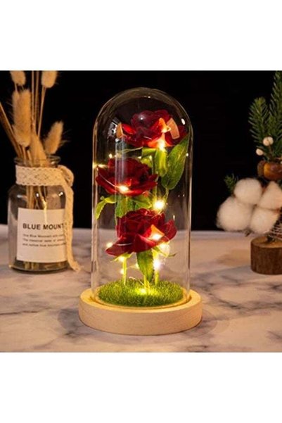 Generic Beauty and The Beast Rose in Glass Dome, Red Silk Rose Gift Lasts For...