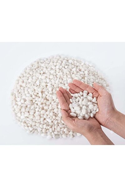 Generic Premium Polished White Pebbles - 1cm to 4cm Decorative River Stones f...