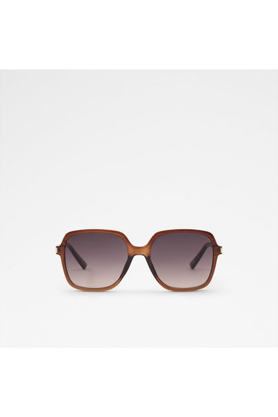 Aldo Paollaa-B Ladies Brown Sunglass