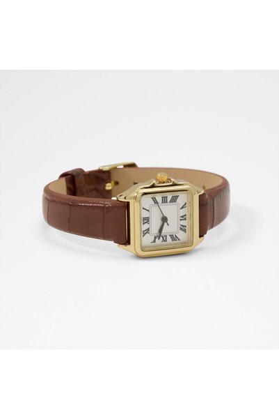 Aldo Berverly Ladies Brown Watches