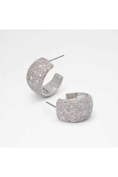 Aldo Emmalyn Ladies Multicolor Earrings