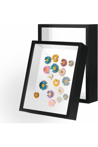 mCherry Shadow Box Frame Display Case, 2 Pack, with Glass Cover, 3D Dried Flo...