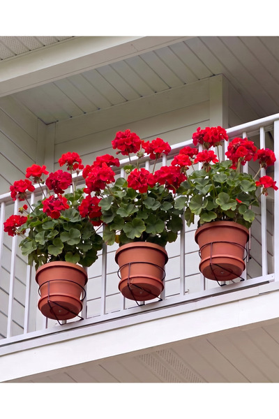 Terracy Home & Garden 3’lü Büyük Boy Yuvarlak Saksı Askılığı - Balkon Demiri,...