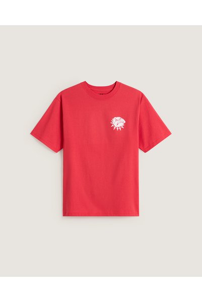 Vans Bully Ss Tee
