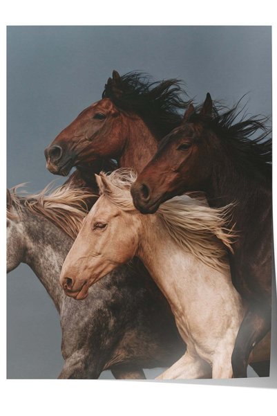 Postifull Poster fără ramă „Cai în galop” Nr. 160108