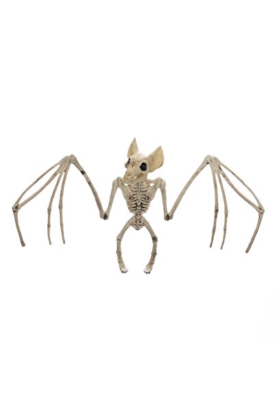 OEM Decorațiune schelet de liliac de Halloween, 17cm, din plastic