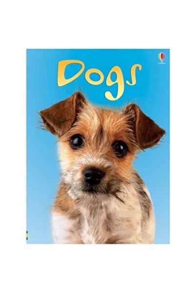 Usborne Publishing Σκύλοι, Έμα Χέλμπρουχ