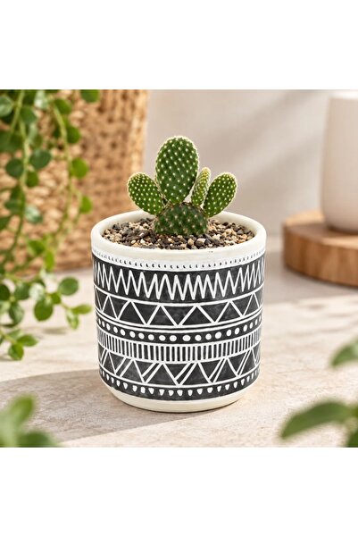 BM GİFT DESİGN Ghiveci ceramică 9x9 cm model linii simetrii