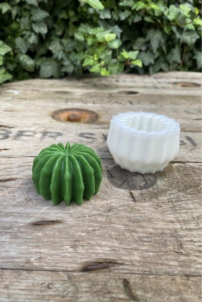 rufus concept Ball Kaktüs Silikon Mum Kalıbı