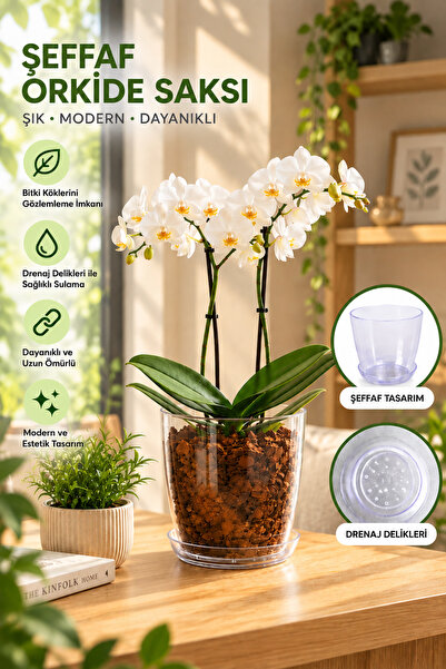 Şeffaf Orkide Saksısı Drenaj Delikli Şeffaf Plastik Orkide Saksı