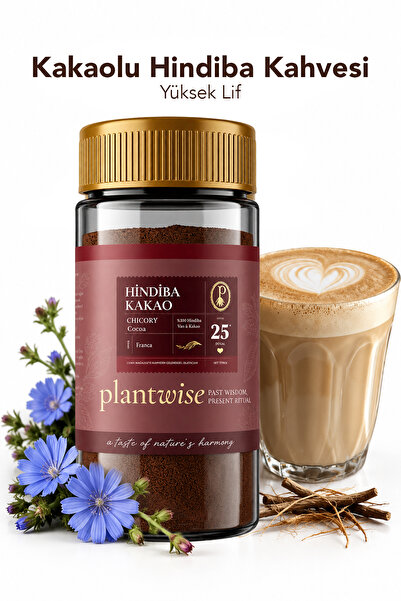 Plantwise Kakaolu Hindiba Kahvesi Prebiyotik-Yüksek Lif | Bitkisel %80 Hindib...