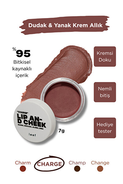 Lip & Cheek Balm Charge | Dusty Rose Dudak & Yanak Balmı | Krem Allık & Tint