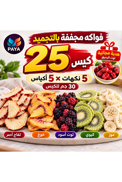 PAYA تشكيلة فواكه مجففة بالتجميد 25 حبة – تفاح أحمر، خوخ، توت أسود، كيوي وموز...