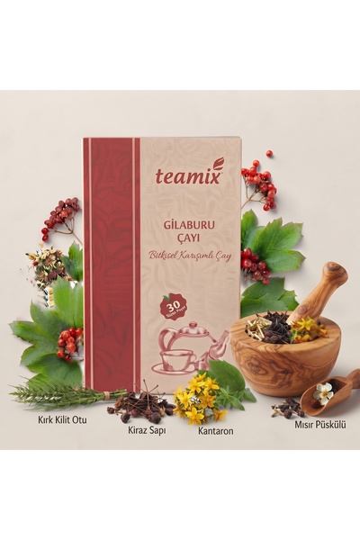 teamix Gilaburu Çayı Bitkisel Karışımlı 60 G 30 Süzen Poşet
