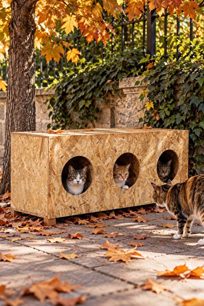 Reyo Kedi Evi Dış Ortam Uygun 3'lü Ahşap Kedi Evi Osb 93x41x39 Cm ( Demonte) - CAT11