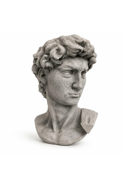 Layerworks Statuie decorativă bust David, inspirată de Michelangelo, pictată ...