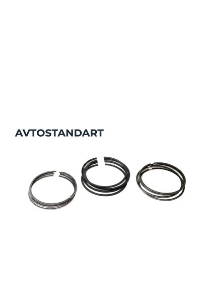 AVTOSTANDART MOTOR-SEGMAN TKM. 82.00 (Std.) / SAMARA (48) / VEGA (51) / KALİNA / YENİ MODEL NİVA (49)