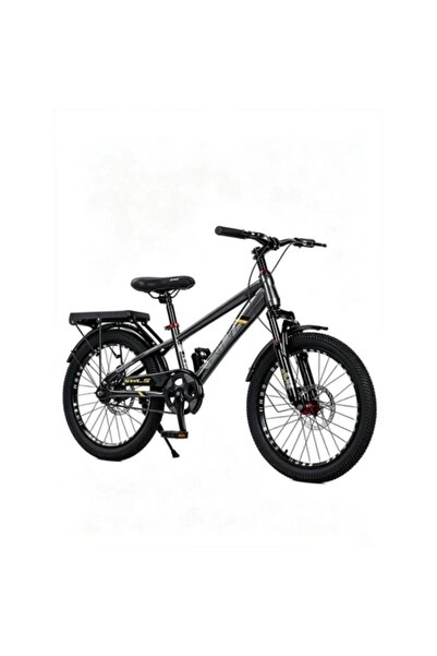 Colorland SWLS 20 Inch Bicycle, Khaki