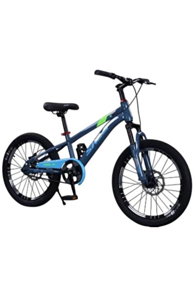 Colorland SWLS 20 Inch Bicycle, Blue