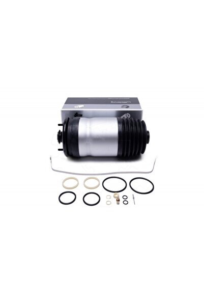 ESEN SKV Perna de aer suspensie spate Land Rover Range Rover Sport I RKB500250