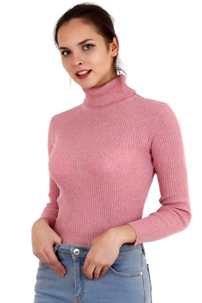 hazelin Women's Vibrant Pink High-Neck Ribbed Knit Sweater Hzl22W-H100011
