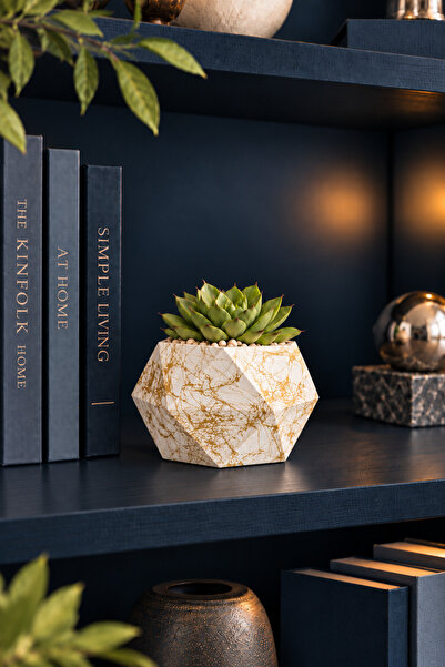 betonmall Beton Vazo 11x7 cm El Yapımı Mini Çiçek Vazosu Sukulent Saksısı Dek...