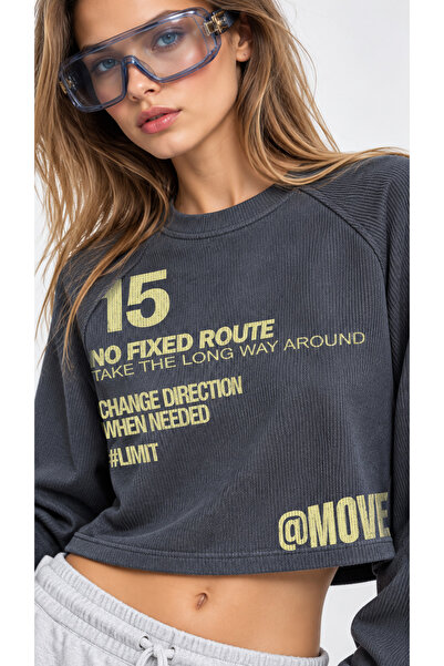 Kallisto Dark Gray Crew Neck Printed Crop Sweatshirt