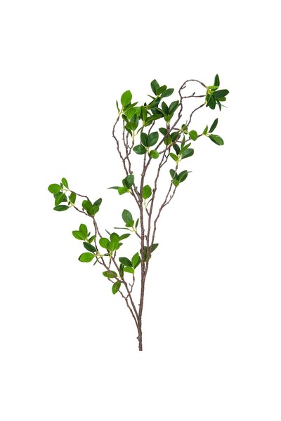 OEM Ramură decorativă artificială cu frunze verzi 108cm