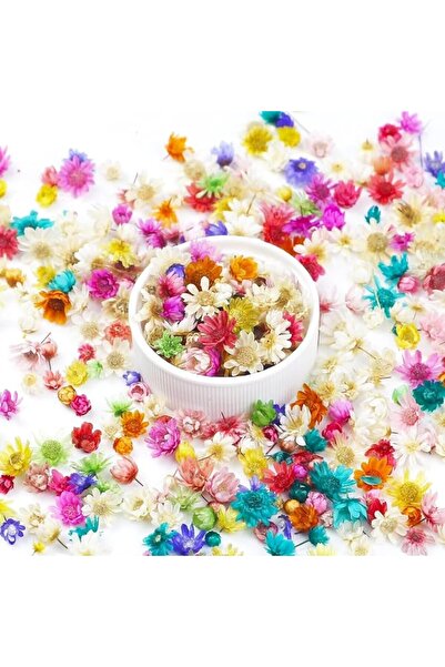 Yelajoy 400 Pieces Mini Dried Flowers for Resin, Small Dried Flowers for Craf...
