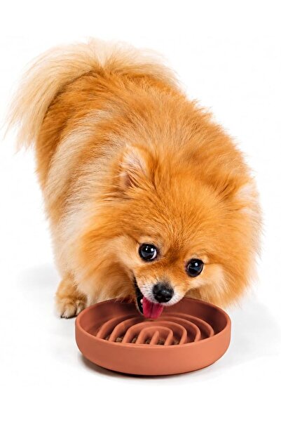 off shoulder The Slowdown Bowl: Silicone Slow Feeder Dog Bowl with Ridges to ...