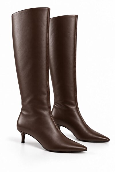 Raneel Kazançlı Alışveriş Women's Thin Heeled Pointed Toe Matte Leather Boots...