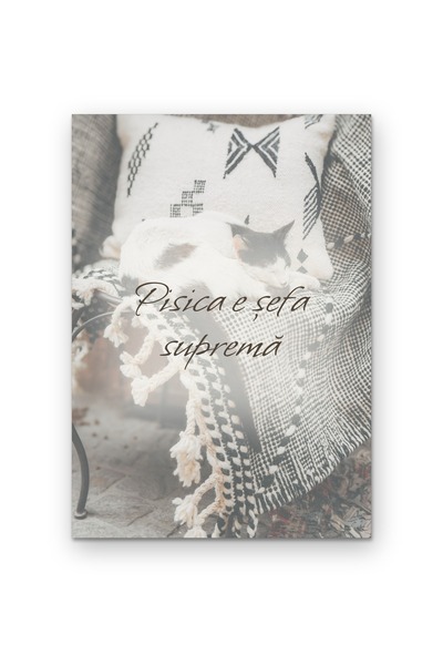 OEM Poster Carton 250g A4 Pisica e sefa suprema, Tablou decorativ perete, Mes...