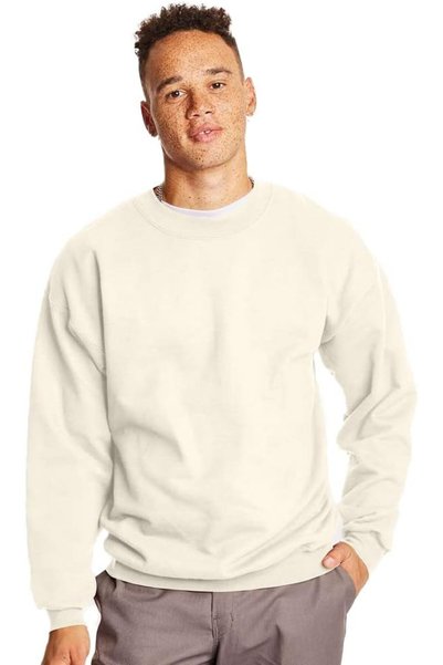 HANES Men's EcoSmart Fleece Hoodie Sweatshirt