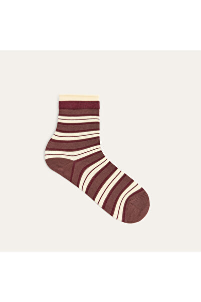 Mudo Women's Burgundy Striped Socks