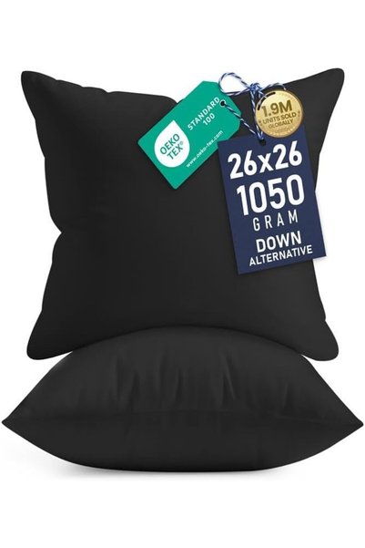 Generic Filling Cushion 30 x 30 cm Pack of 2 for Cushions Bed Sofa