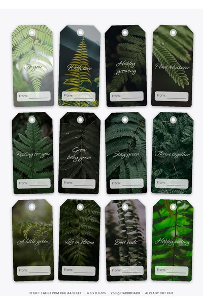 OEM Etichete Cadou Set Parinte de Plante, 12 Bucati, Carton 250g, 4.6x8.8 cm